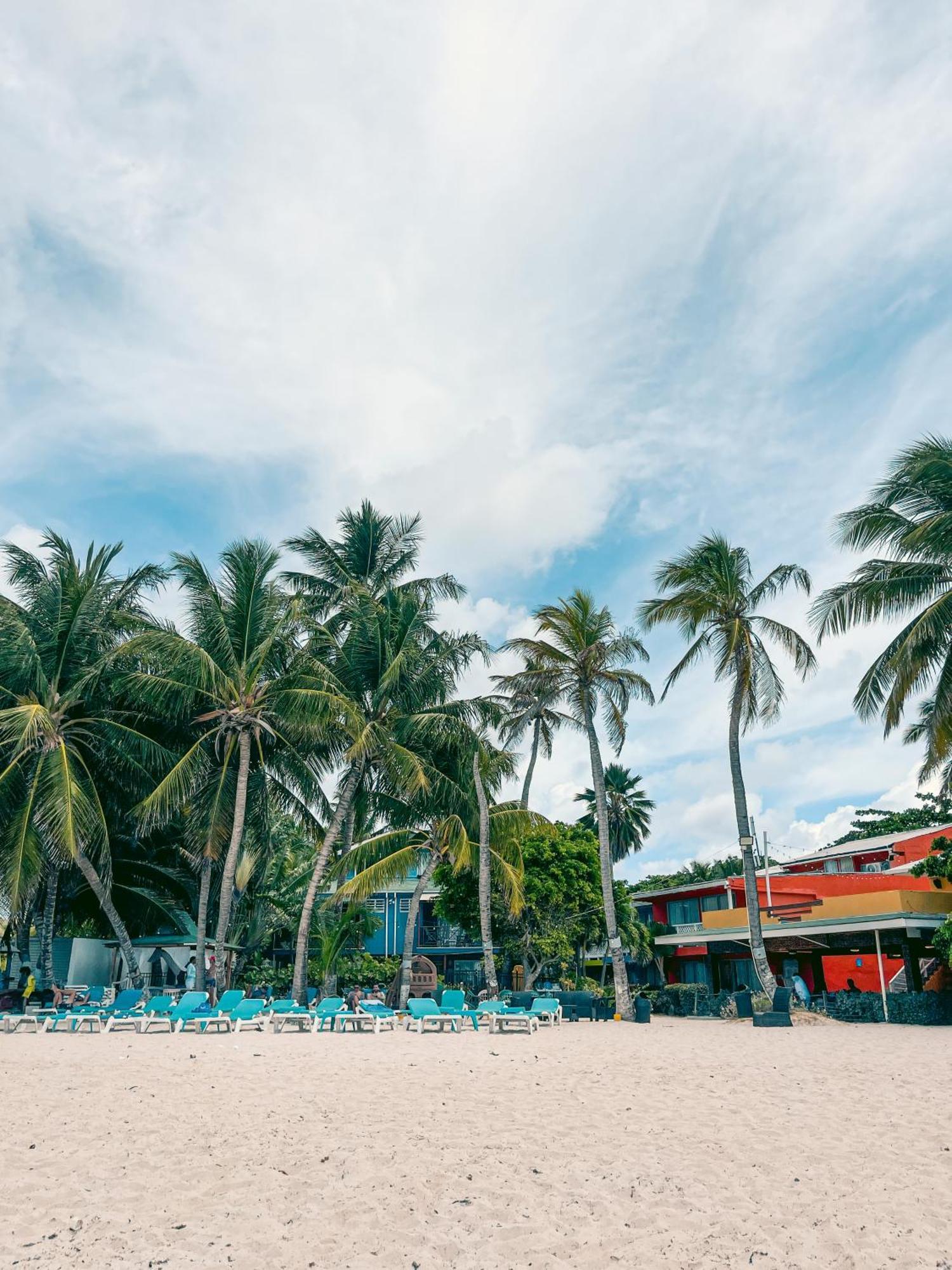 Hotel Cocoplum Beach San Andrés Eksteriør billede